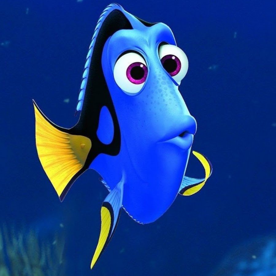 Dory just keep swimming meme