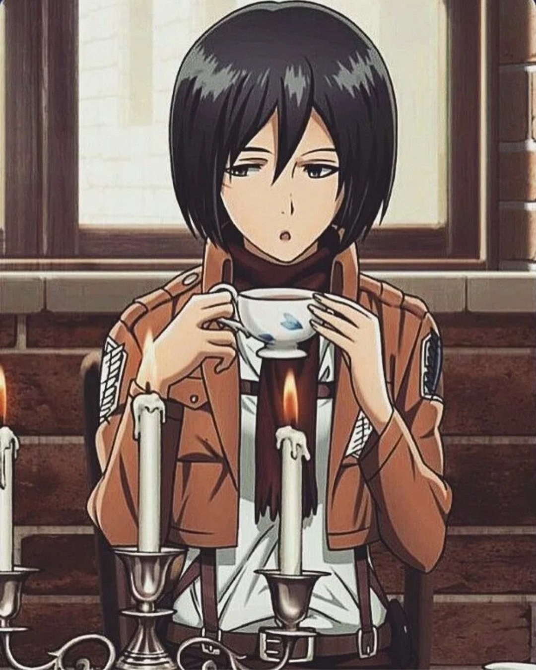 Mikasa steam profile фото 115