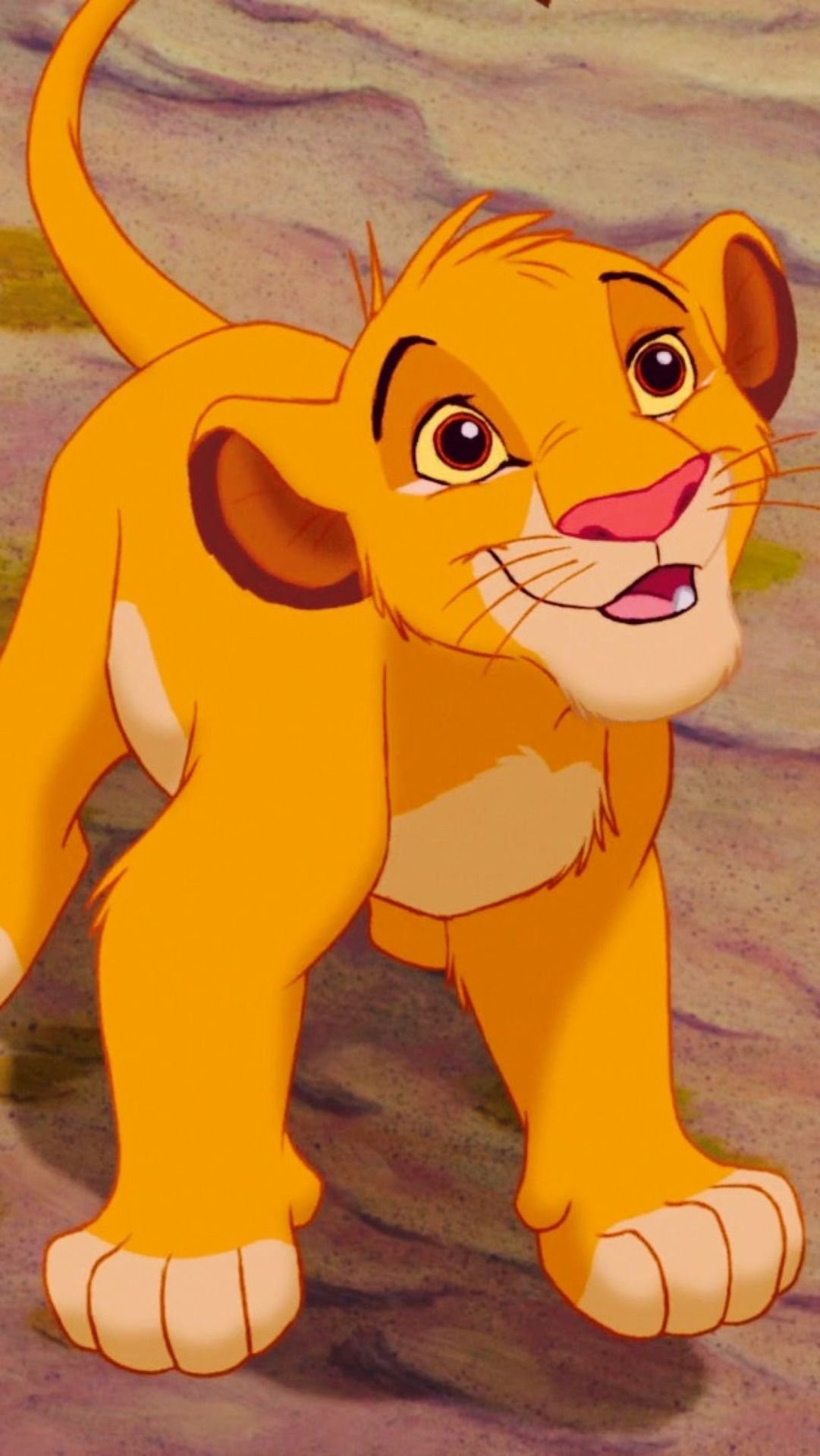 фото симбы из короля льва маленького