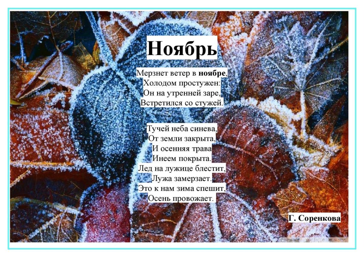 Ноябрь предзимний месяц схема