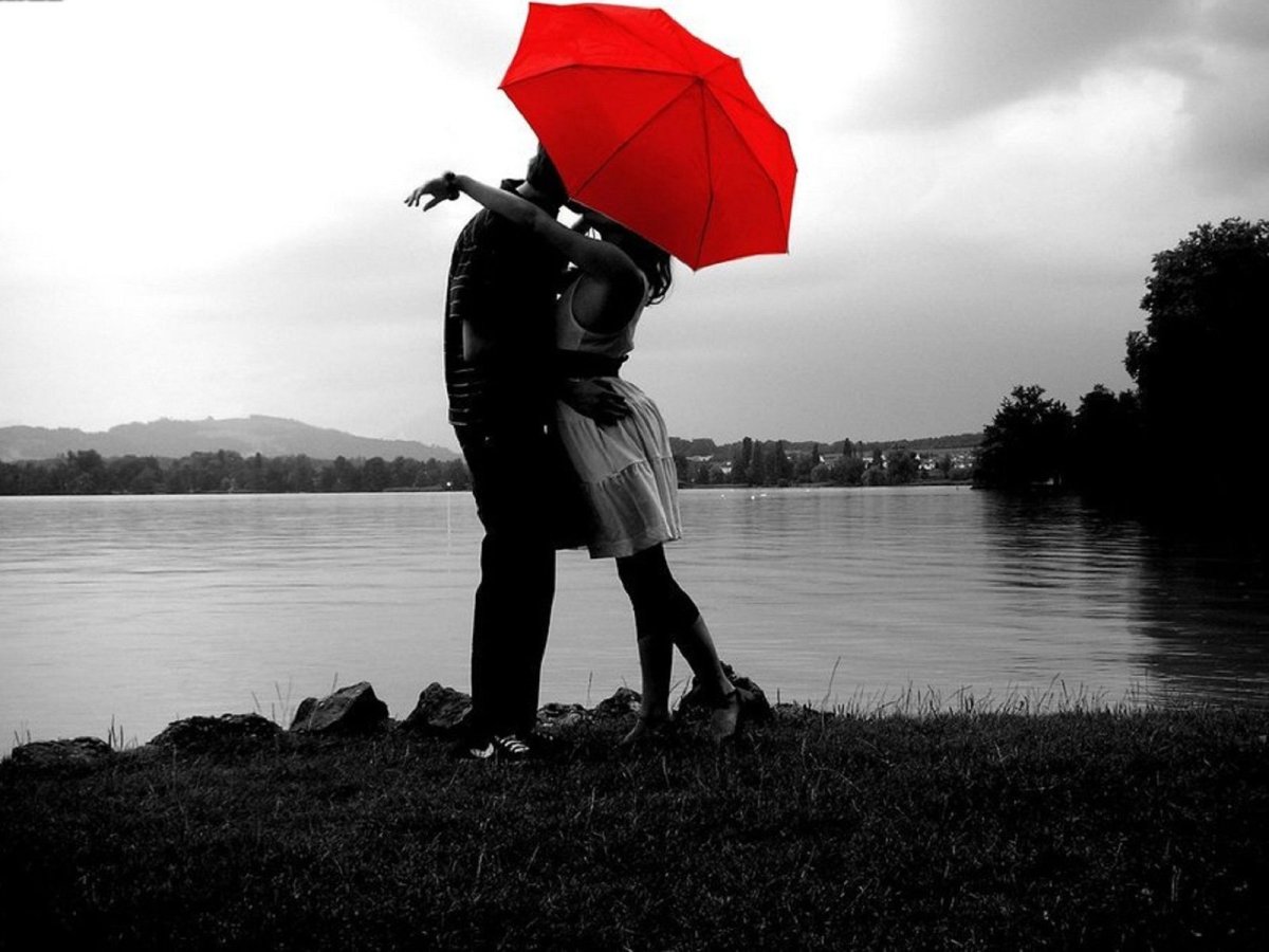 Любовь зонт