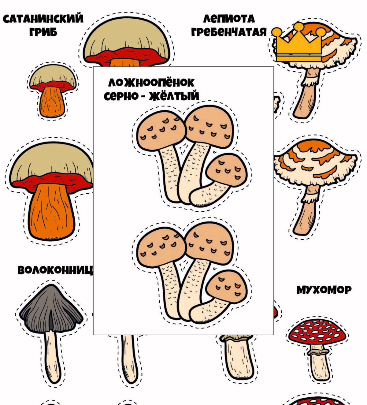 Нарисовать съедобные и несъедобные грибы