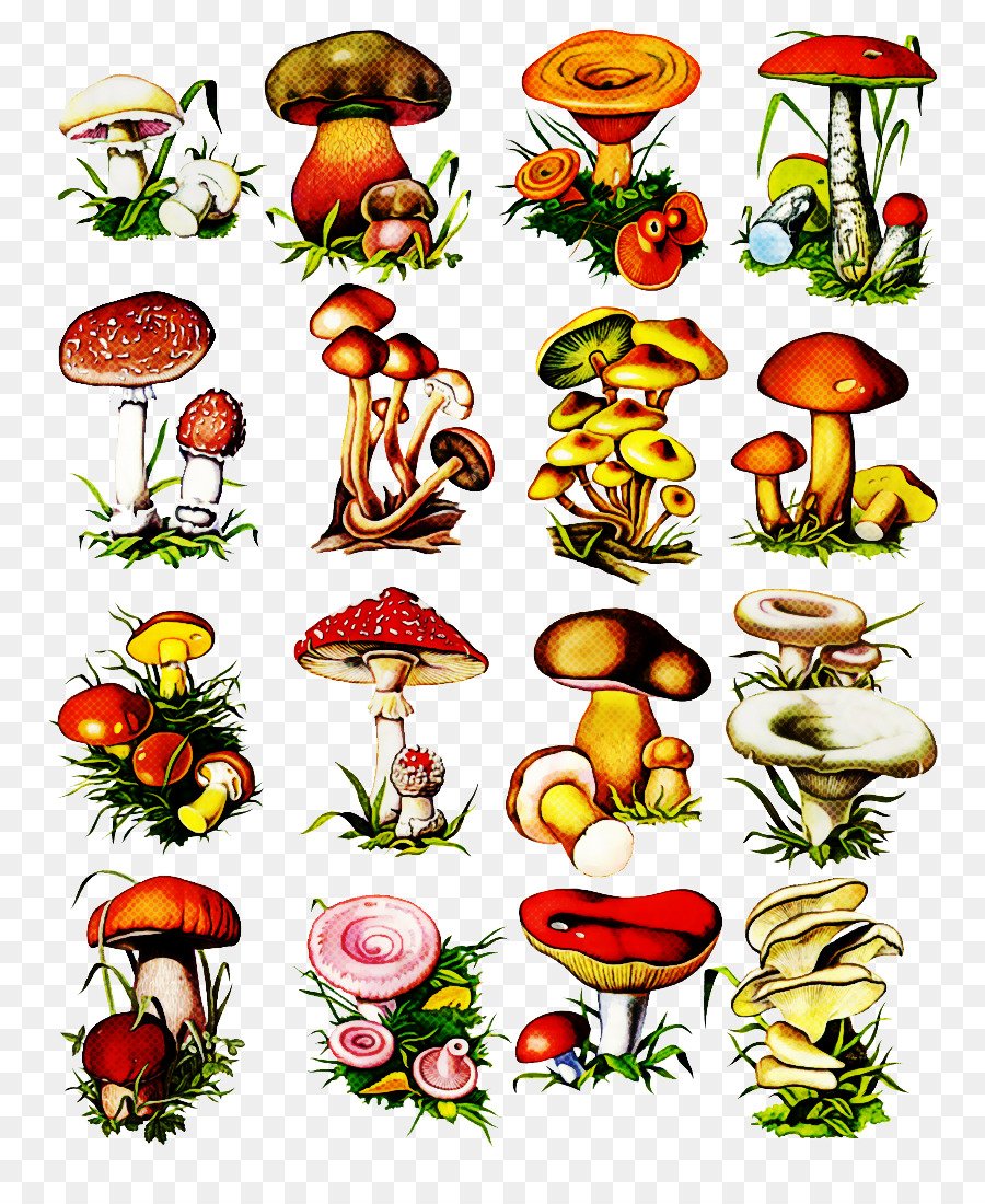 Съедобные грибы для печати