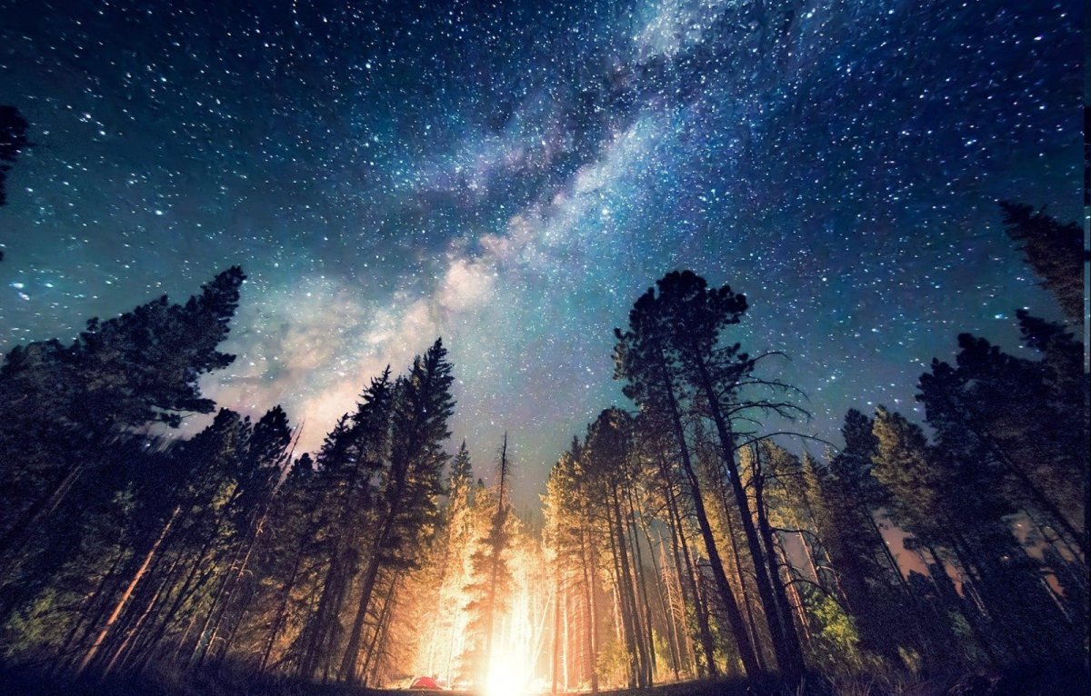 природа ночью фото высокого качества