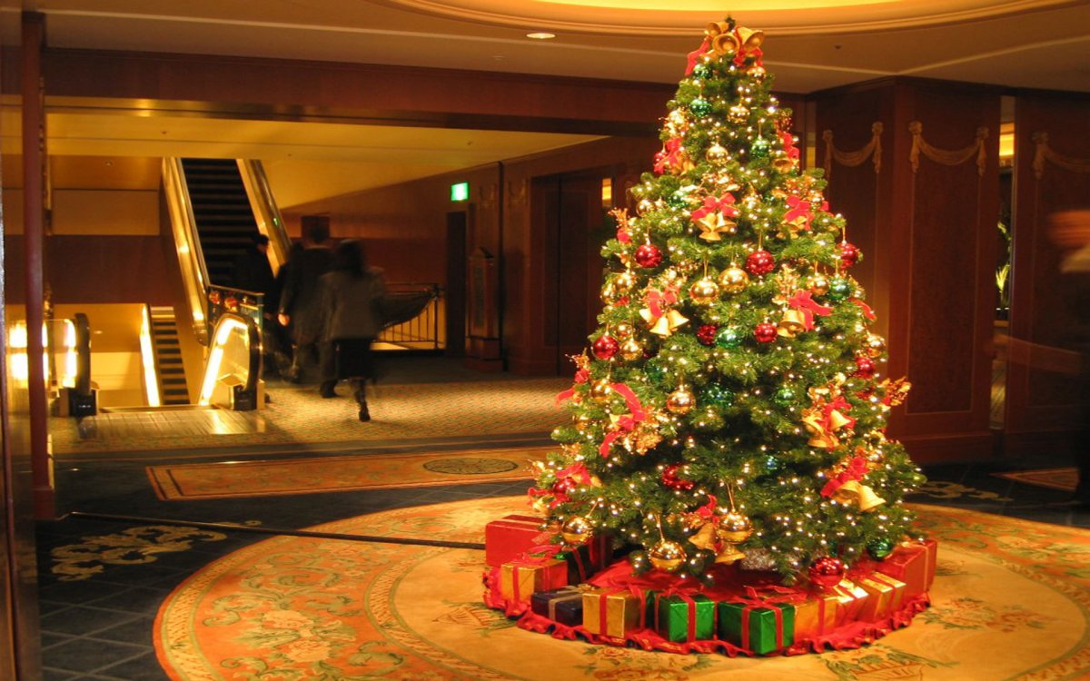 Фотки новогодней елки. Classic Christmas Tree ель Эванс 0.95. Красивая Новогодняя елка. Красивая елка. Рождественская елка.