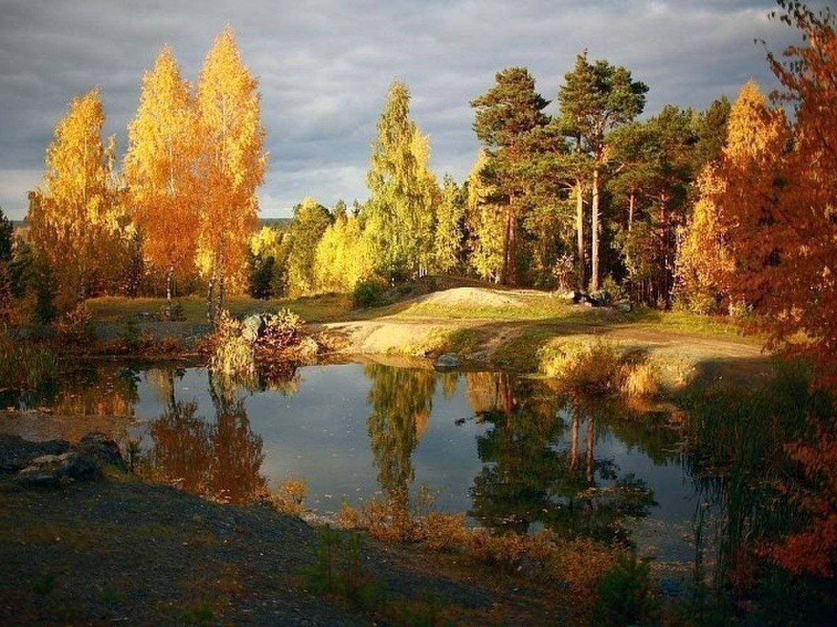 Осенние Пейзажи Фото Высокого