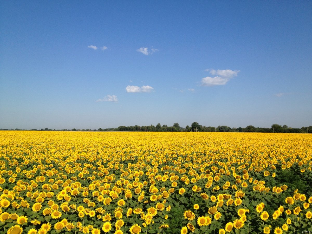 Картинки в украине