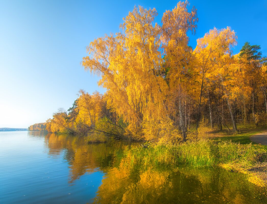 Октябрь фото природы