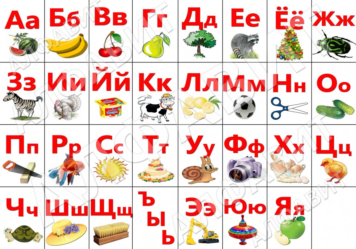 Азбука в картинках для детей каждая буква