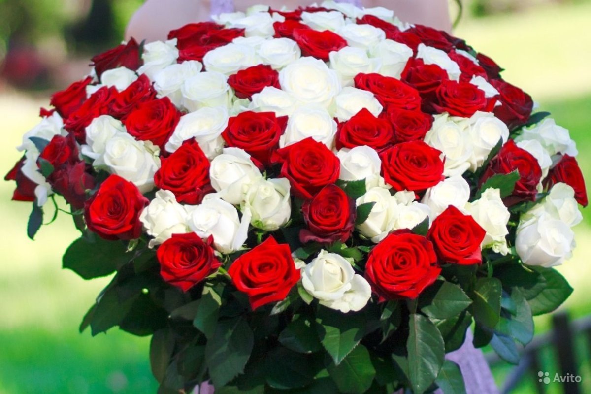 Красивые Цветы Розы Букеты