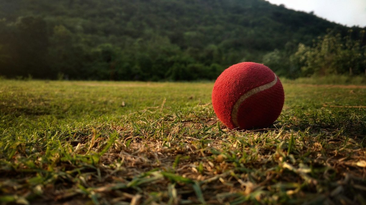 Теннисный мячик на траве