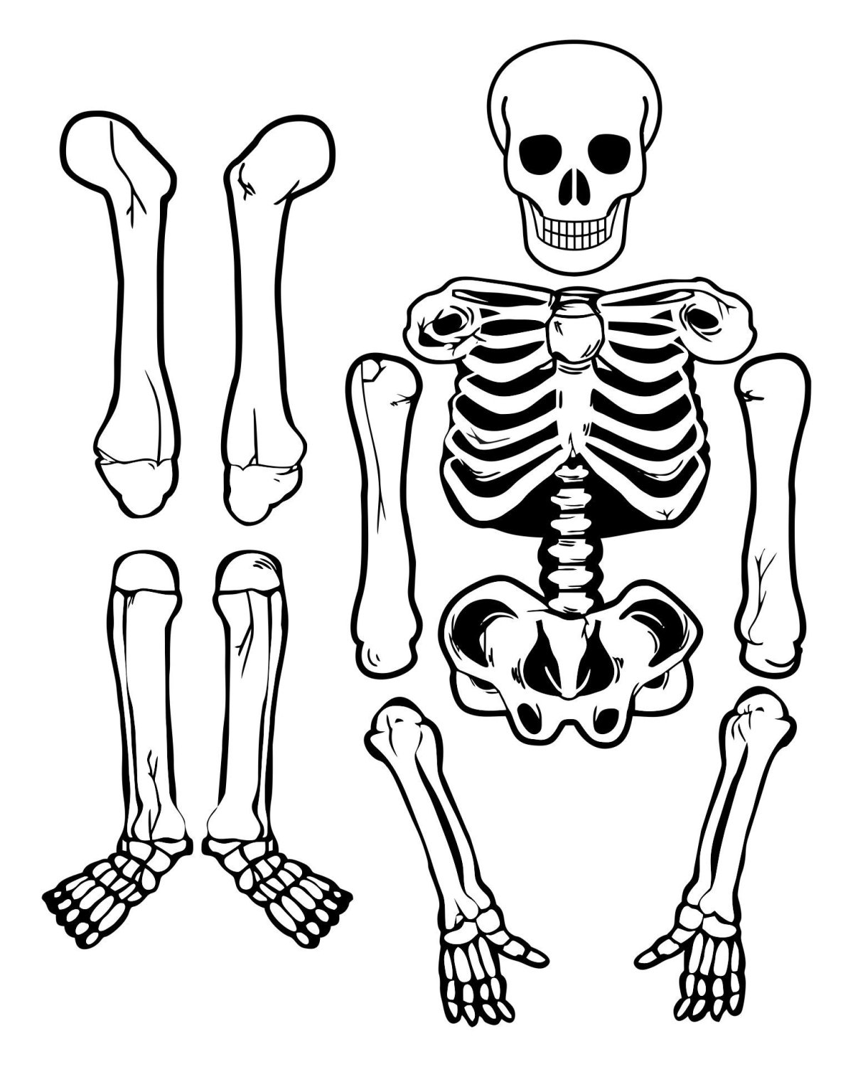 Скелет для костюма Кощея Бессмертного