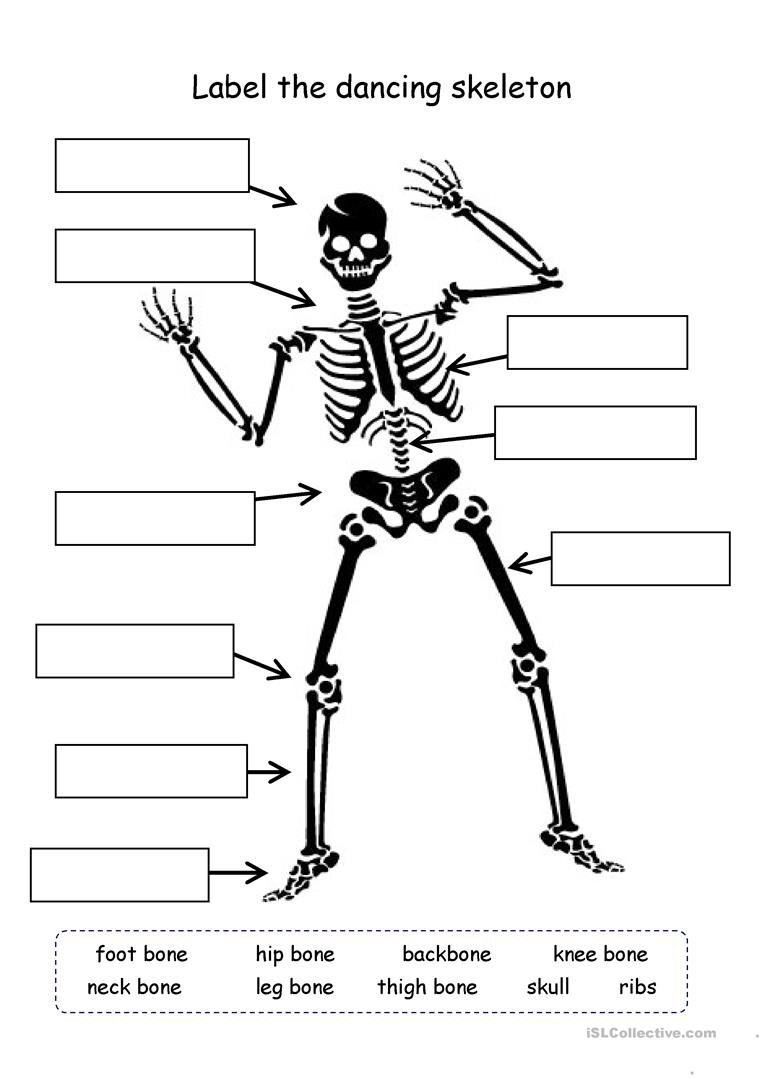 Скелет задания для дошкольников