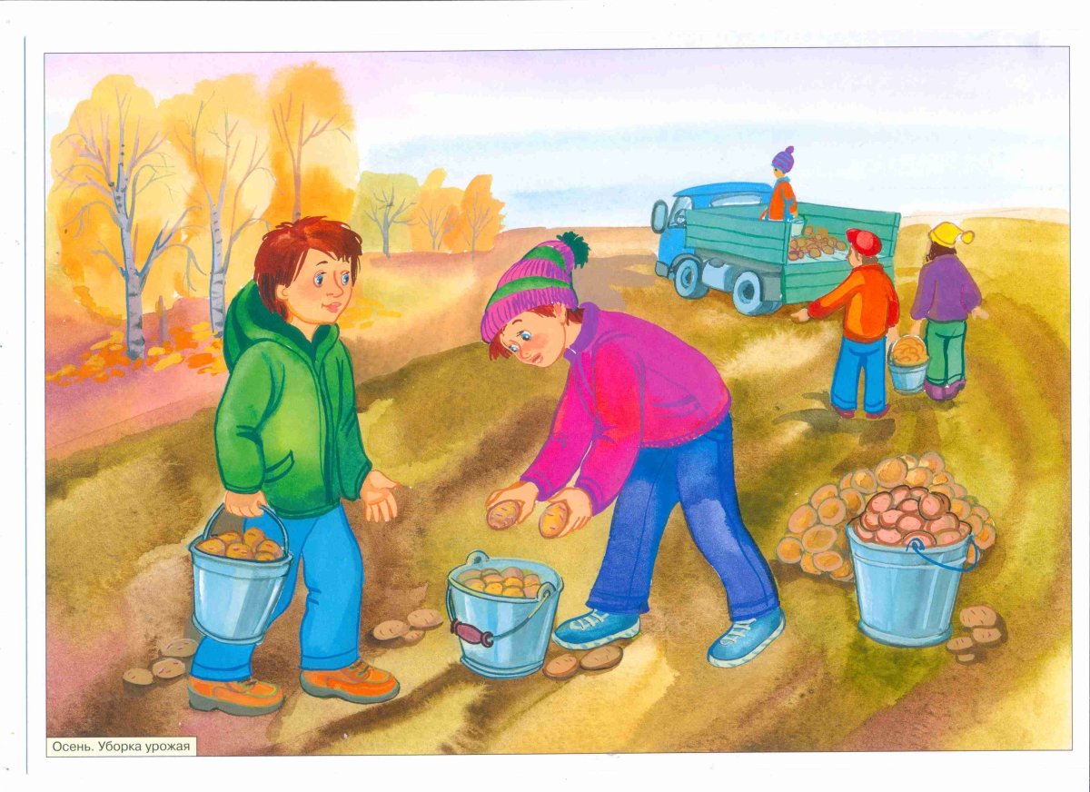 Труд картинки. Труд людей осенью. Занятия людей осенью. Осень уборка урожая. Уборка урожая для детей.