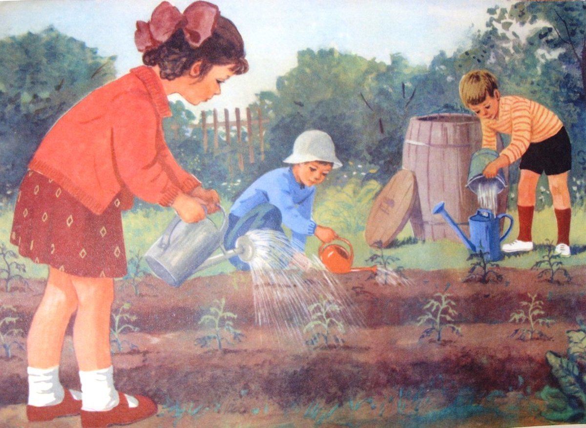Труд в огороде в детском саду