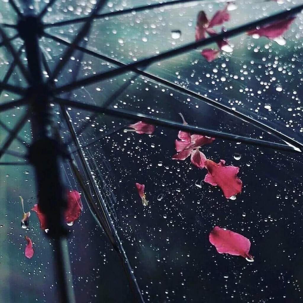 Дождь Эстетика