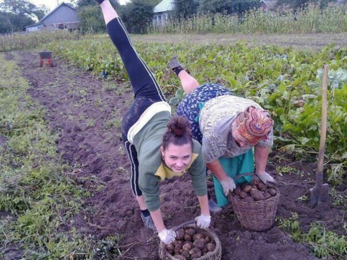 Веселые картинки про дачу и огород