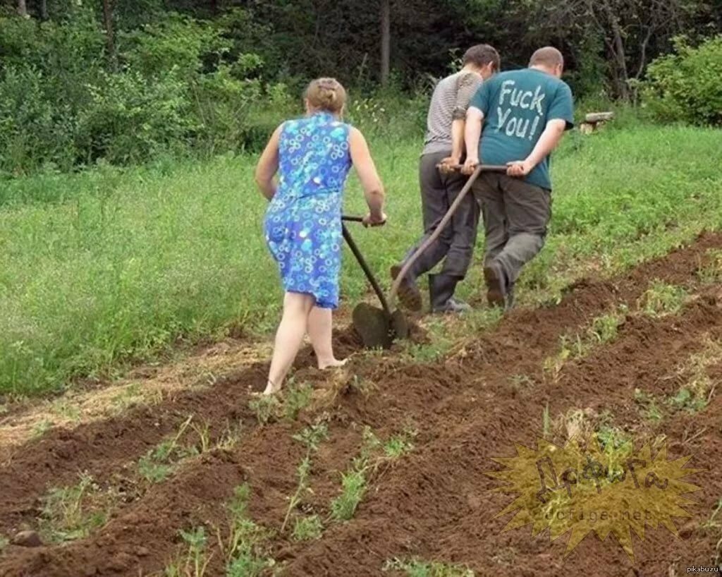 Посадка огорода картинки прикольные