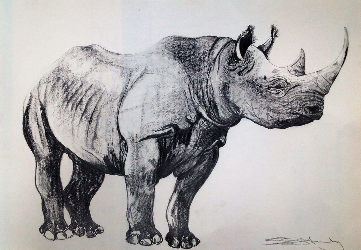 Носорог набросок