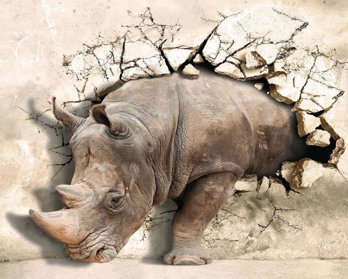 Фотообои носорог