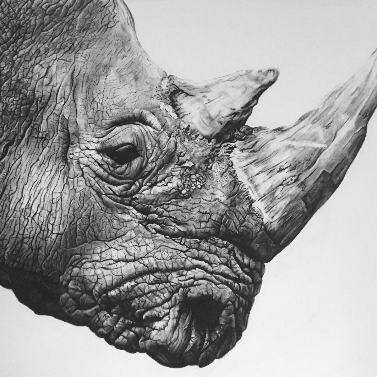 Голова носорога тату