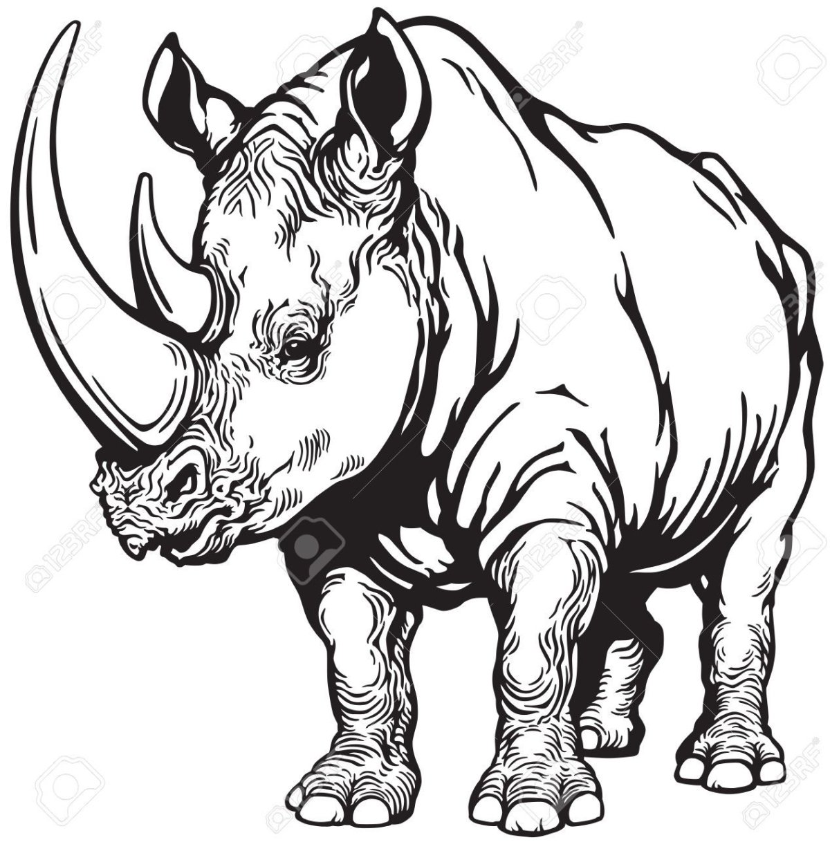 Носорог черно белый