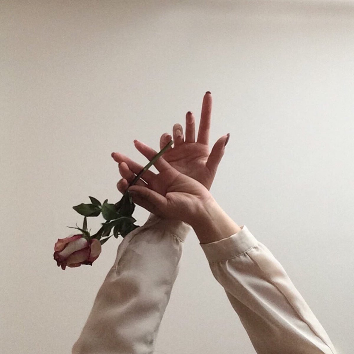 Фото на аву рука с цветком