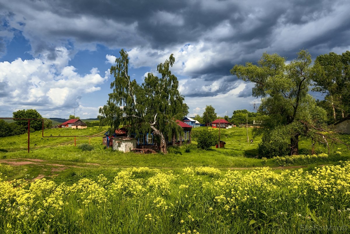 Красивые картины деревни