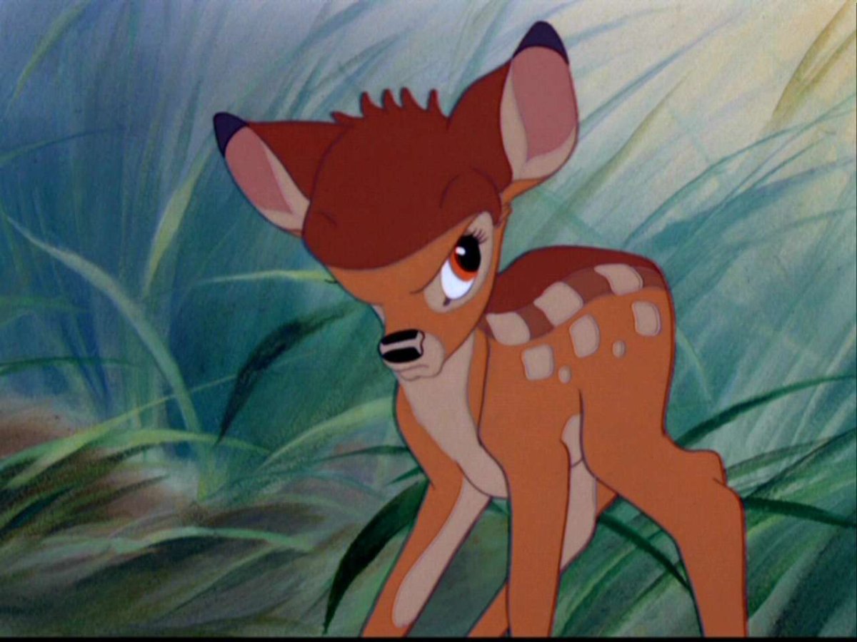 Nijiro bambi