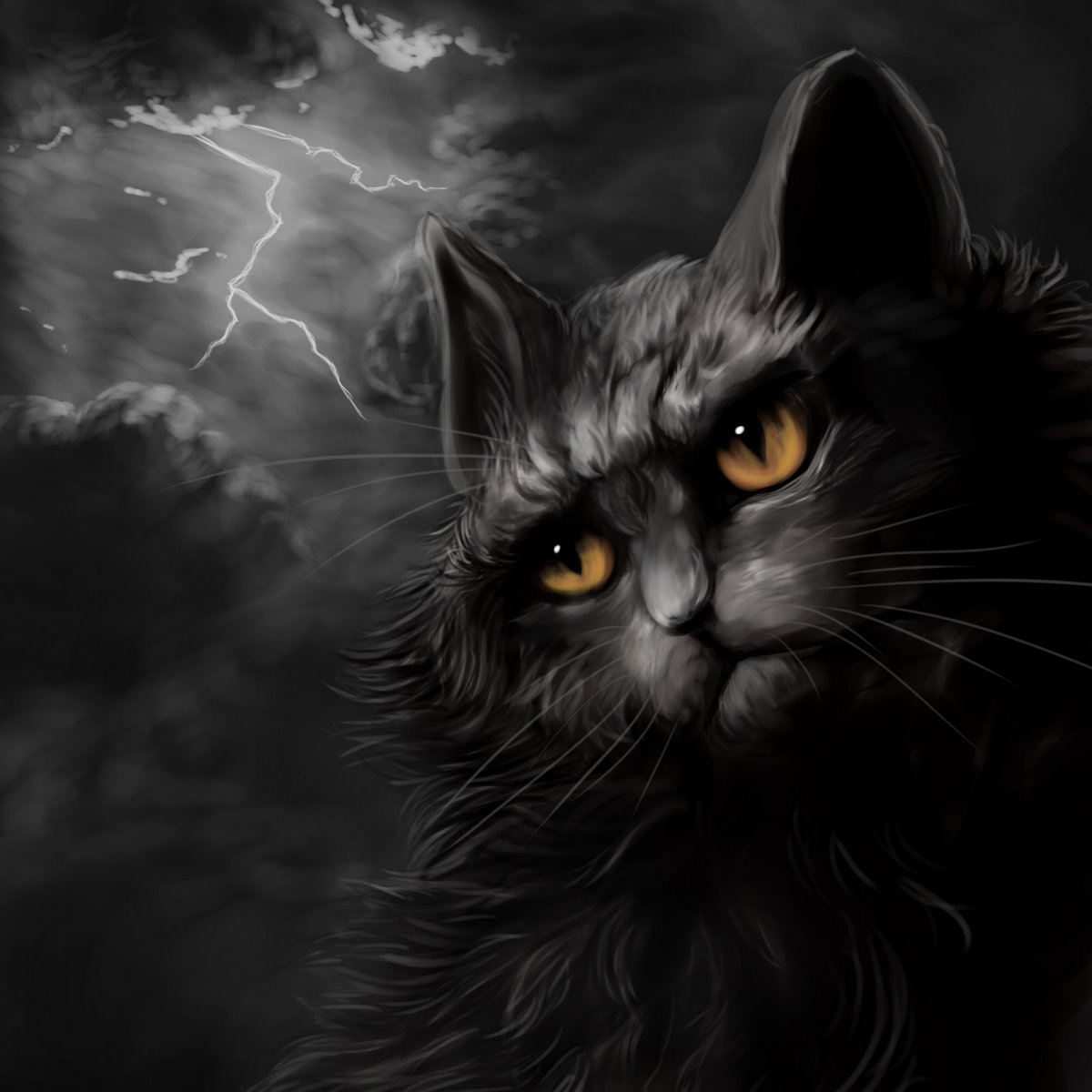 Мрачный кот