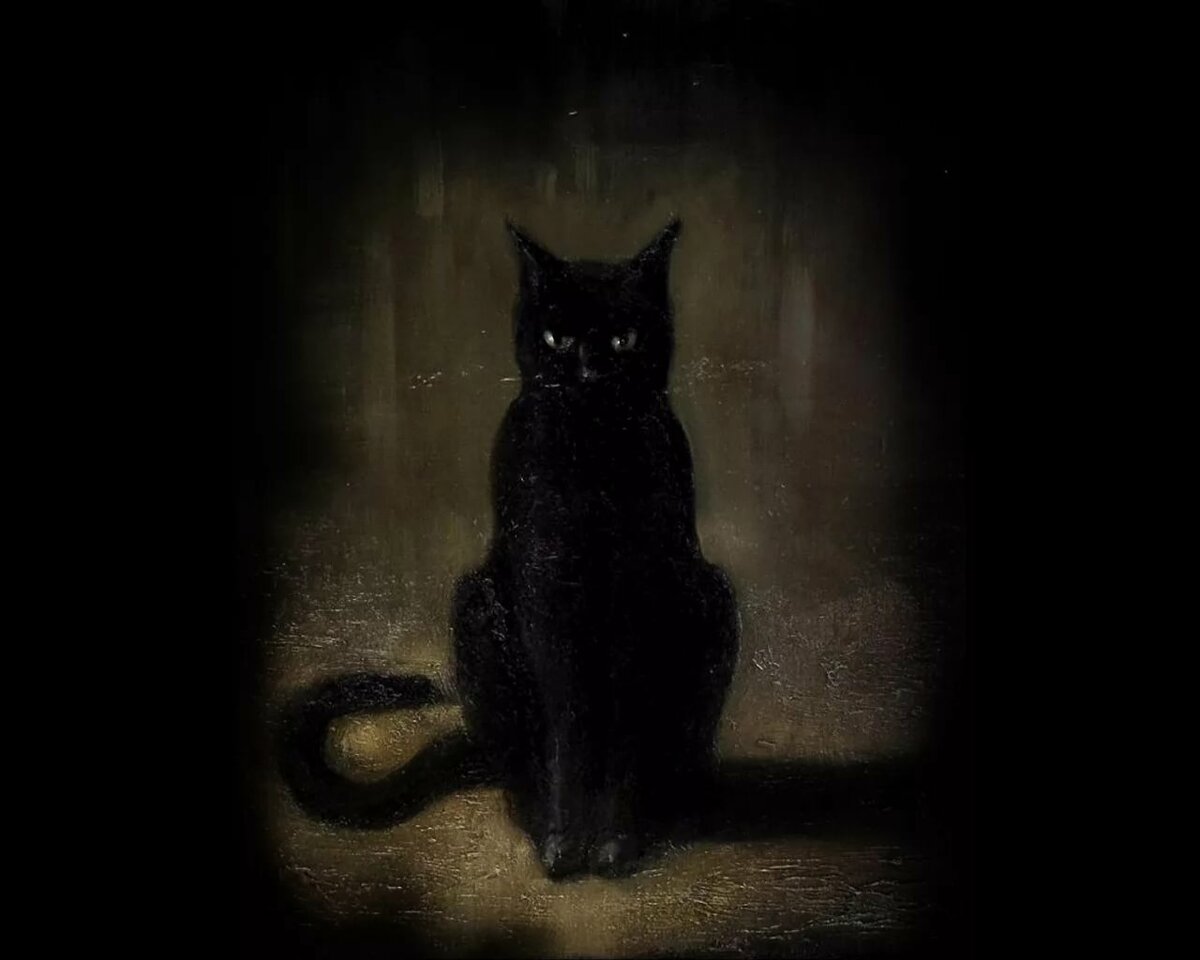 Чёрный кот композитор