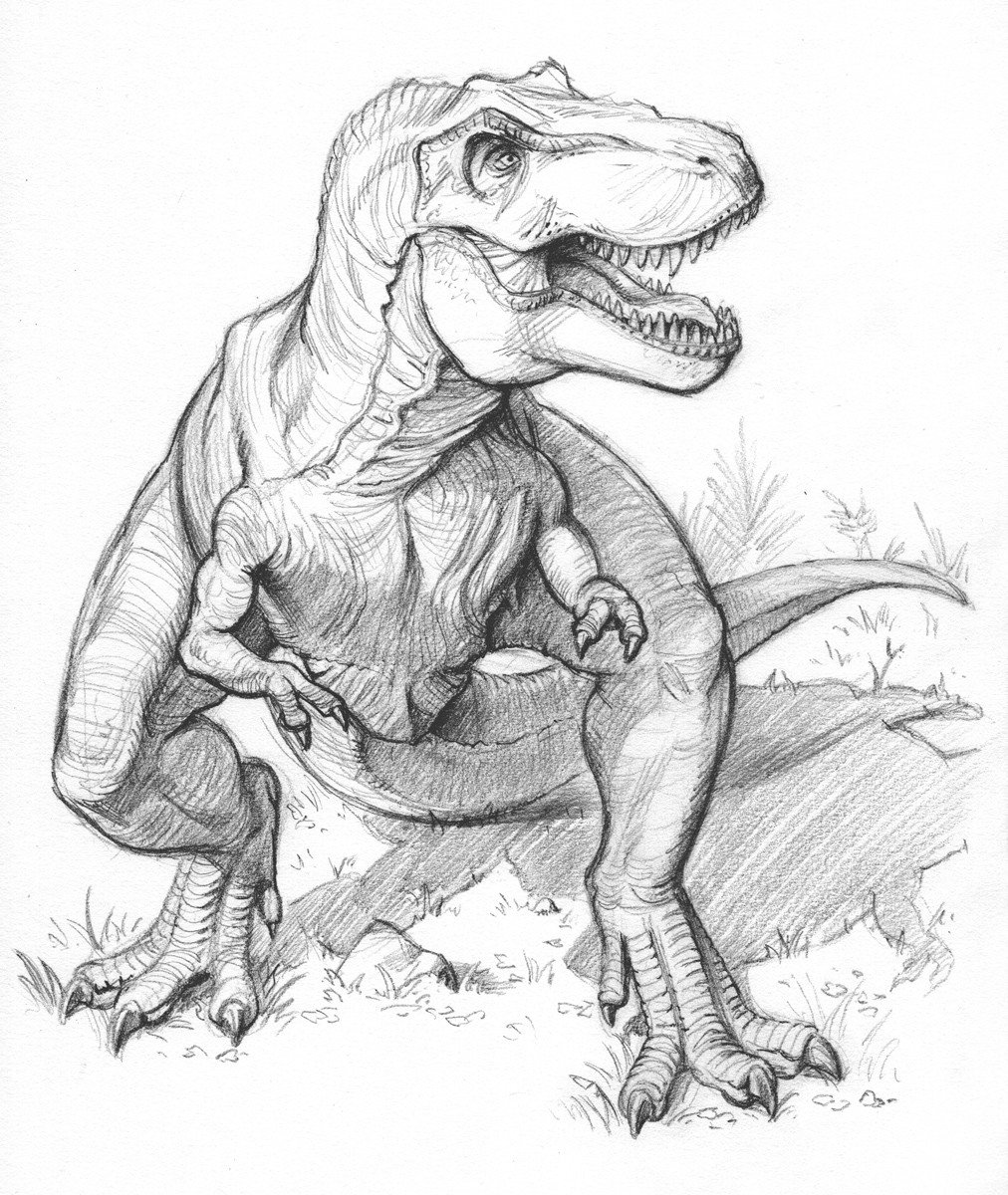 Тираннозавр рекс для срисовки