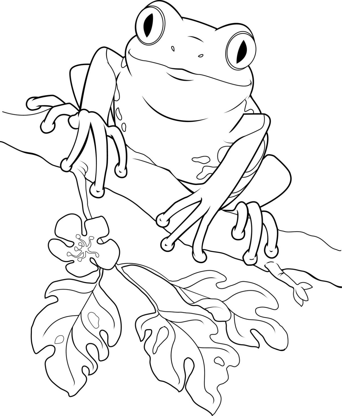 Древесная лягушка квакша раскраска