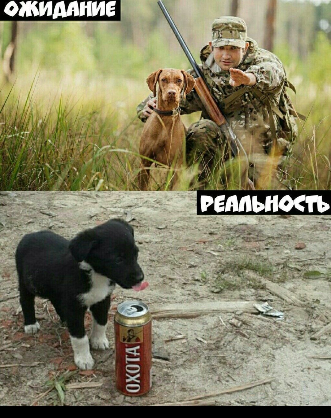 Прикольные картинки охотник с собакой