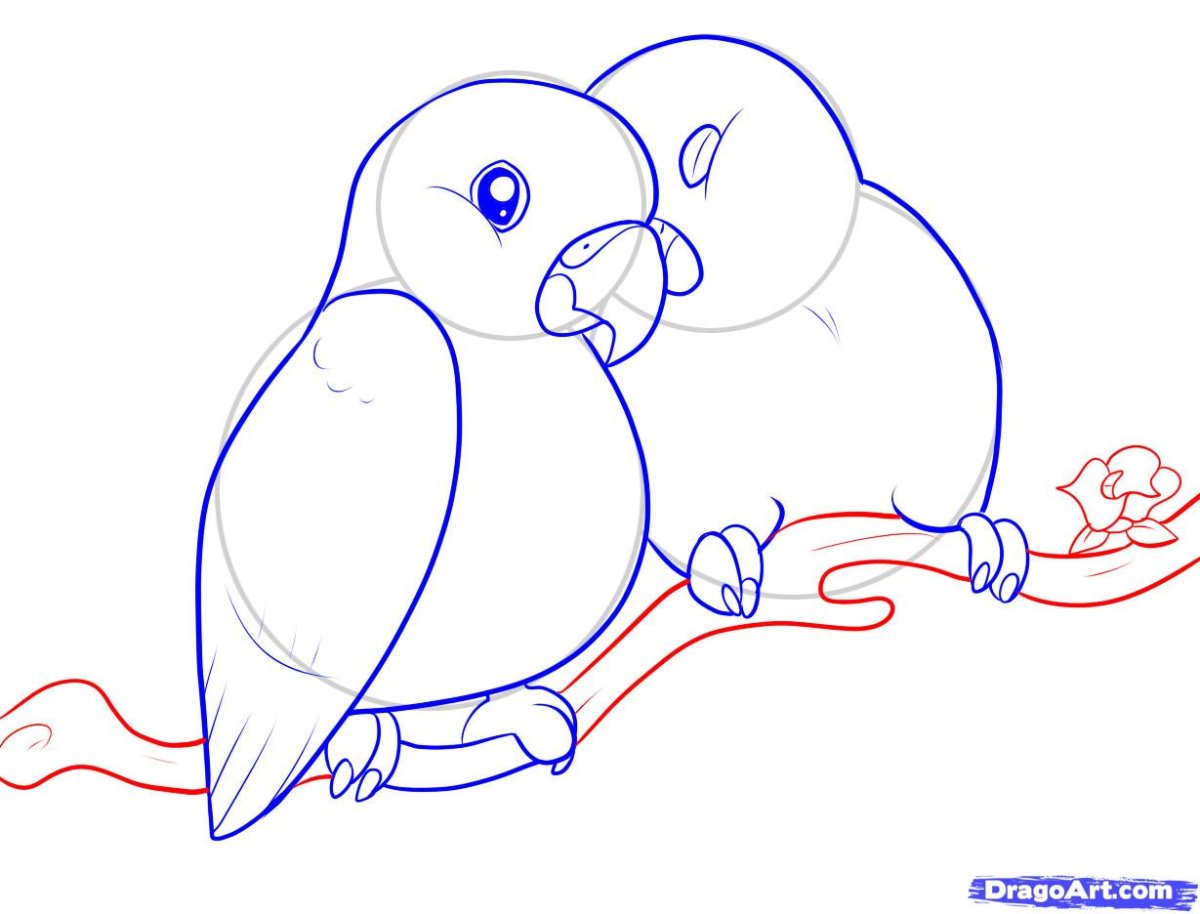 Лёгкие рисунки для срисовки попугай