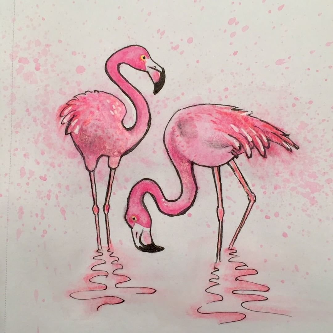 Фламинго рисунок для детей для срисовки