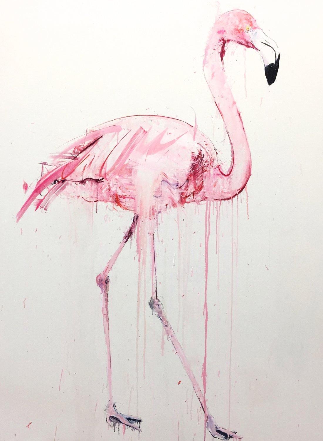 Красивые рисунки Фламинго