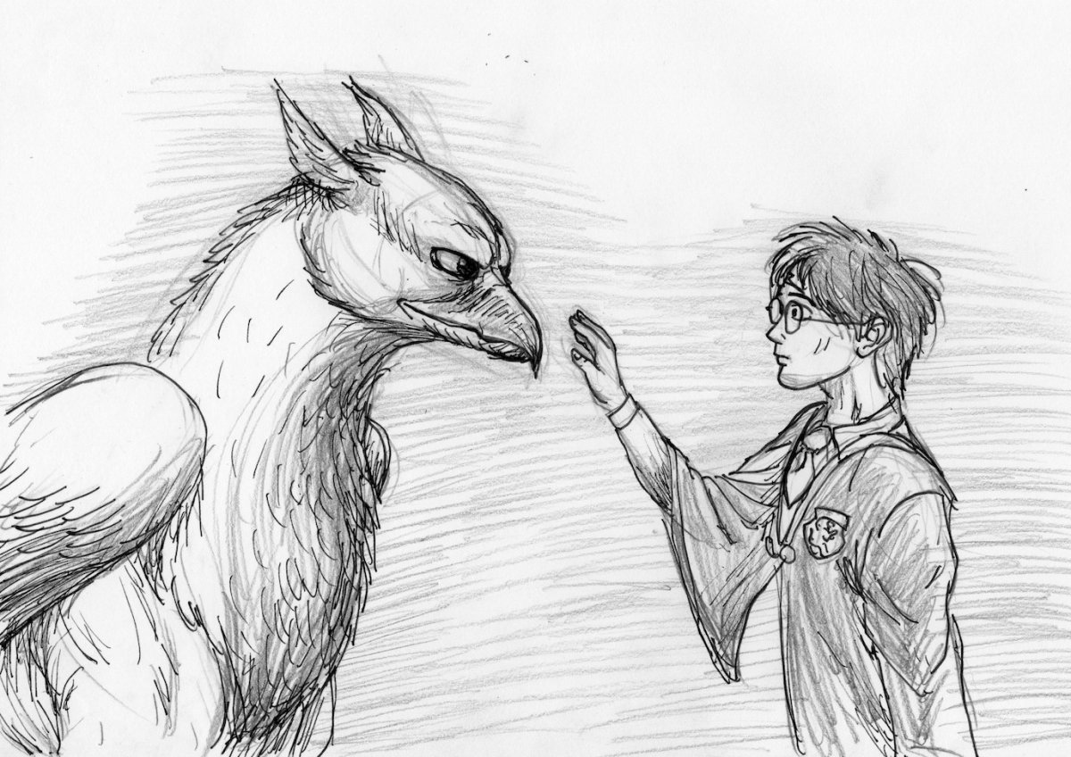 Клювокрыл из Гарри Поттера рисунок
