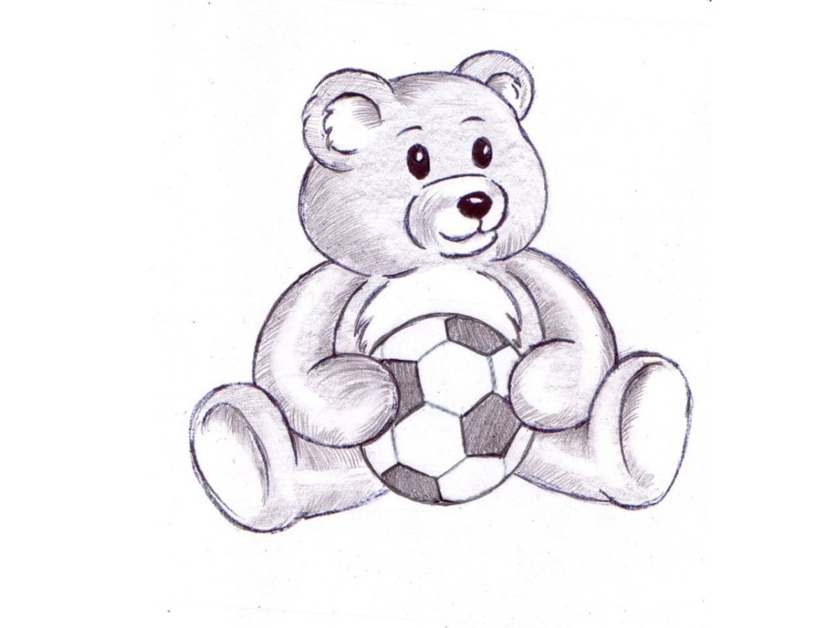 Медвежонок рисунок карандашом