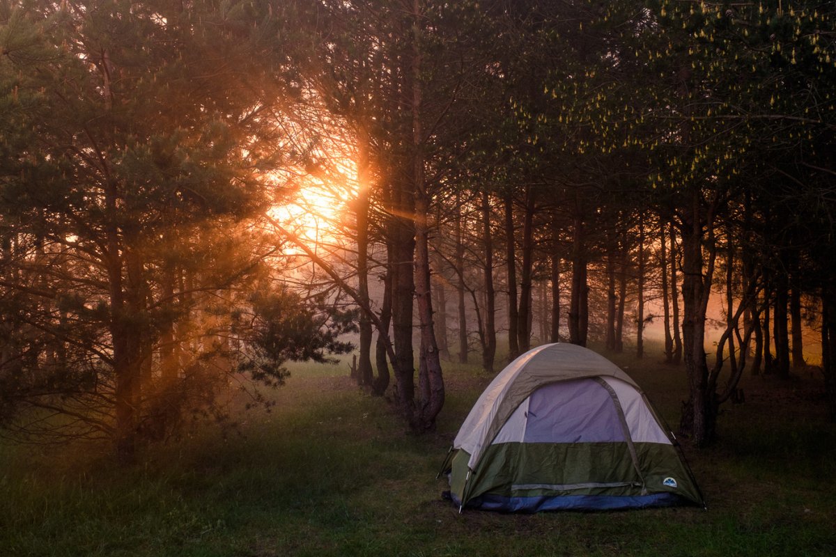 Фото в палатке