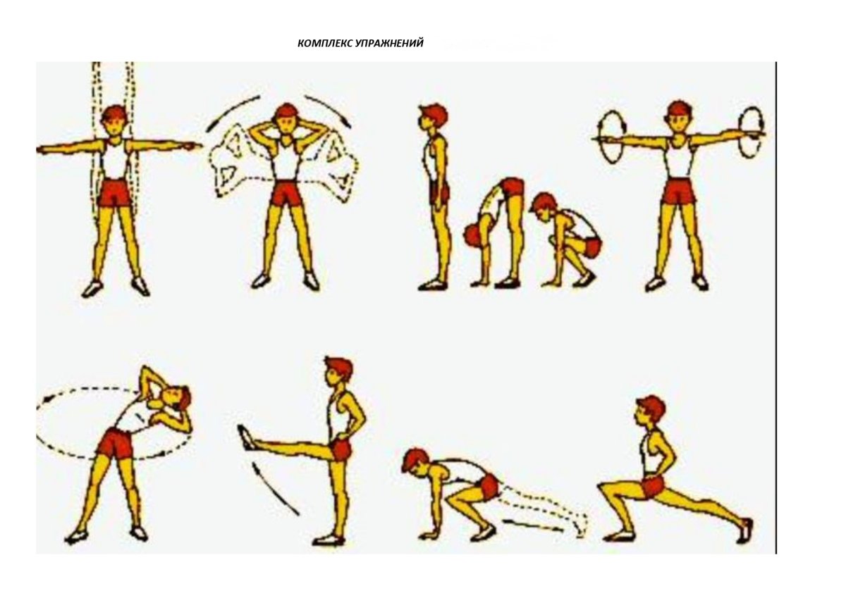 Какие зарядки делать дома. Комплекс разминочных упражнений. Разминочные упражнения по физкультуре с головы до ног. Комплекс упражнений для зарядки. Упражнения для разминки туловища.