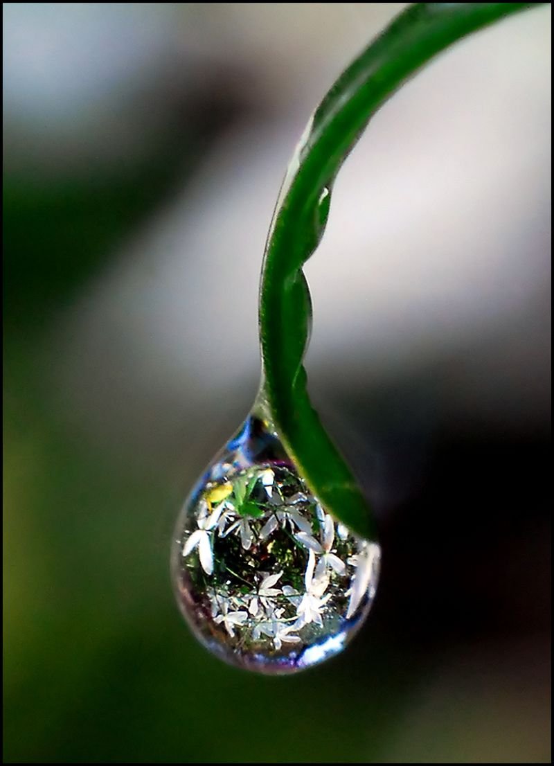 капля воды картинки