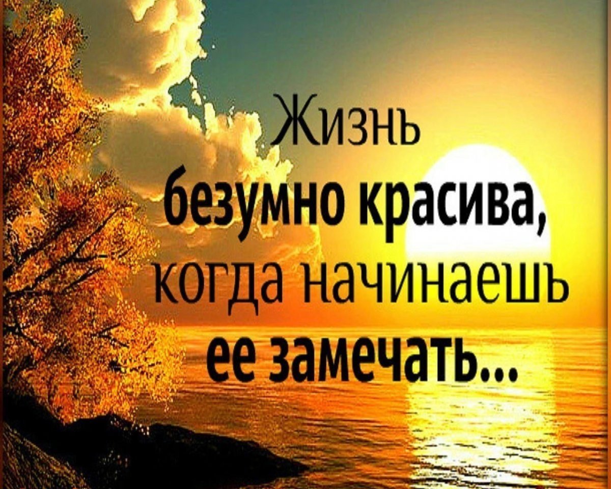 Статус в ватсап в картинках про спокойную счастливую