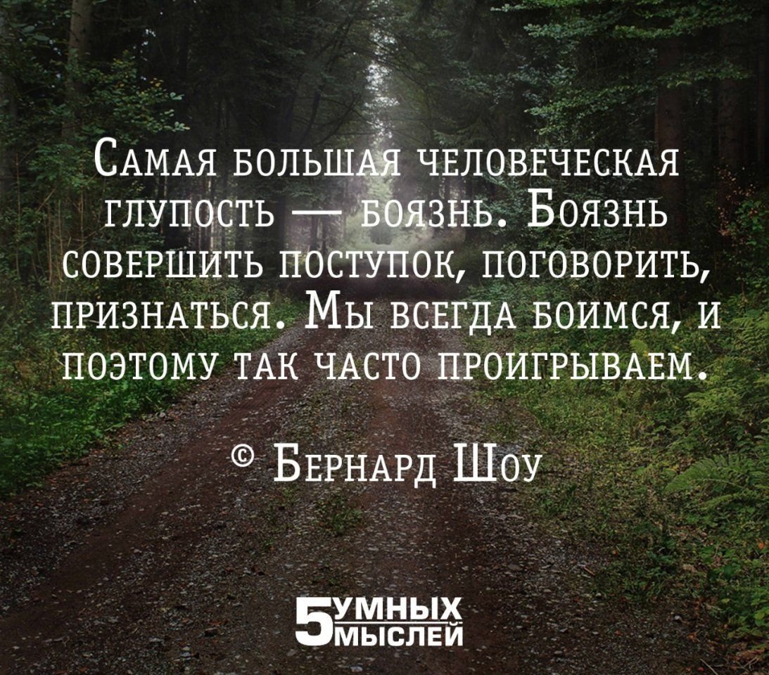 Часто бояться. Самая большая человеческая глупость боязнь. 5 Умных мыслей. Самая большая глупость это боязнь. Цитаты 5 умных.