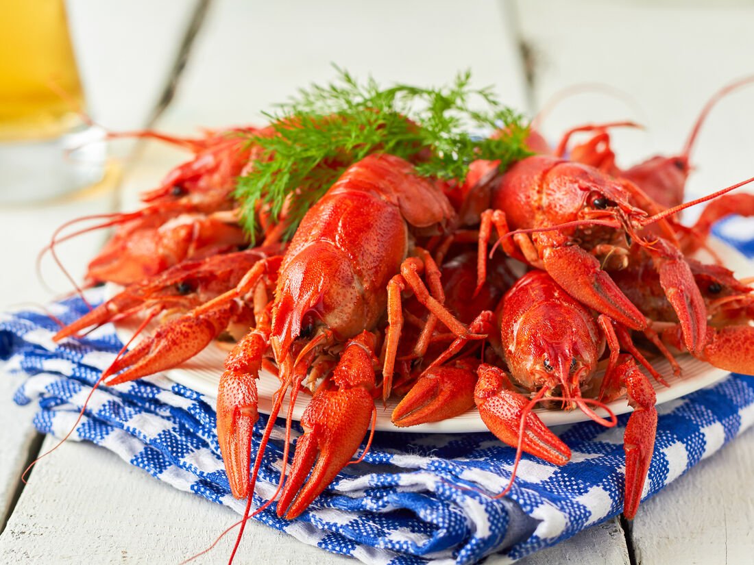 Вареные раки. Лобстер. Дизайн краба и креветке. Crayfish food photos. Таракой.