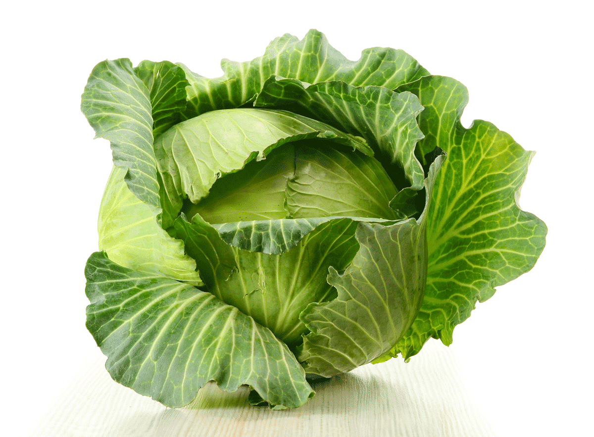 Капуста.Cabbage