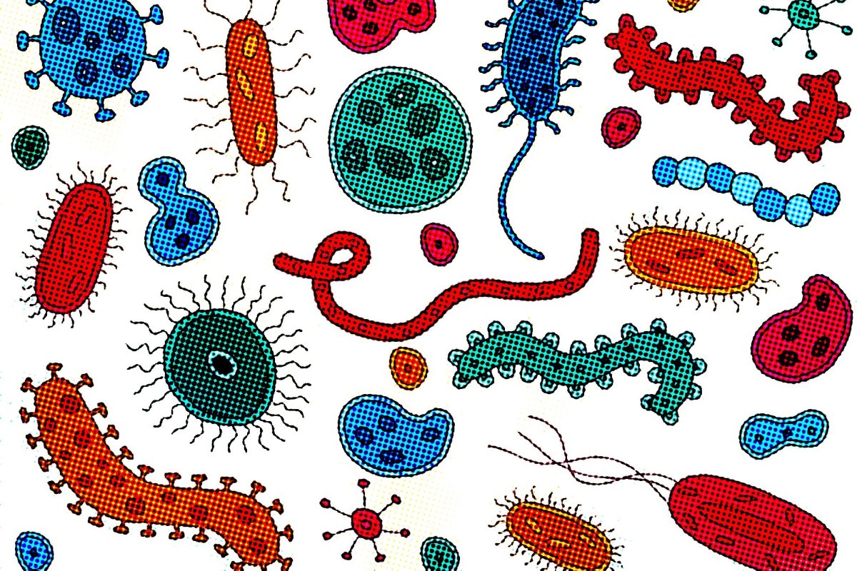 Изображение бактерии
