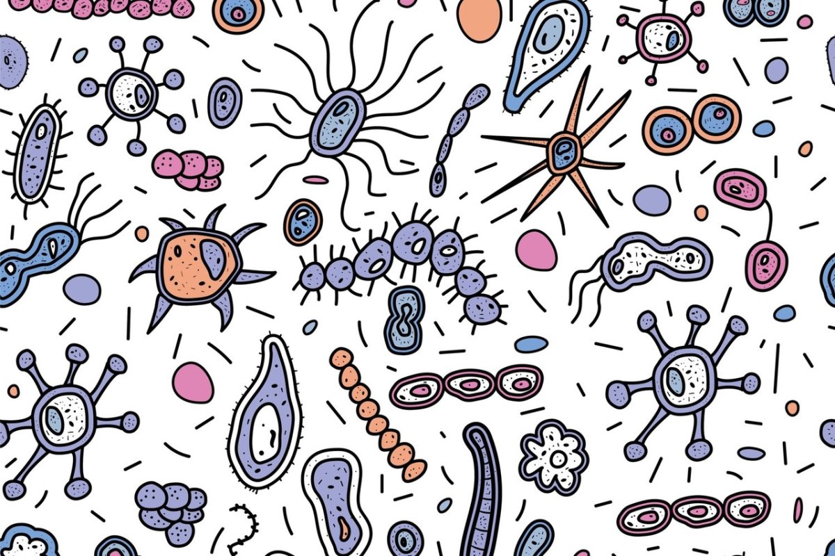 Бактерии картинки