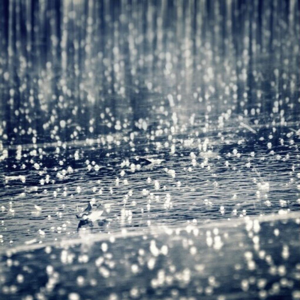 Дождик картинки