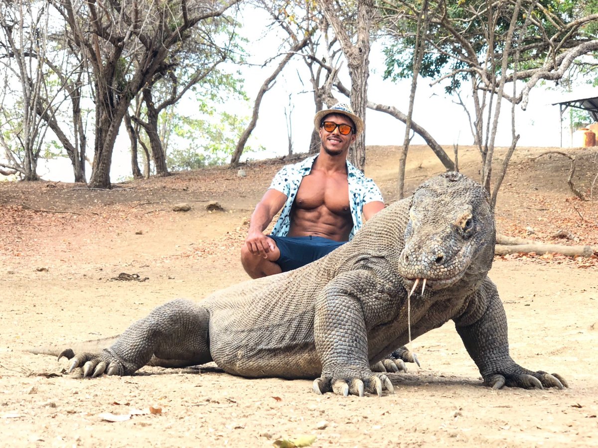 Комодский дракон фото рядом с человеком